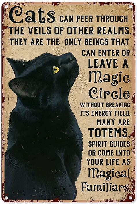 Black cat magic prestin